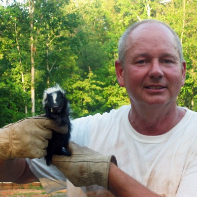 skunk trapping
